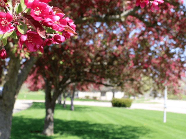 ACCURA HEALTHCARE OF KNOXVILLE, LLC